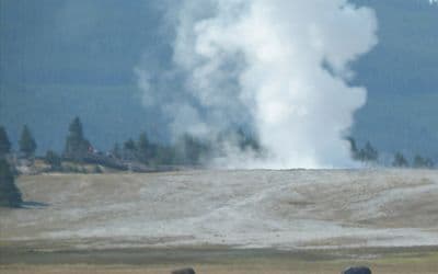 Yellowstone Trip: Geysers, Waterfalls, Wildlife, Hiking Trails, and Lodging