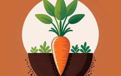 גזר - קטע קריאה 19 - כיתה ב’