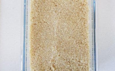 איך מכינים קינואה?