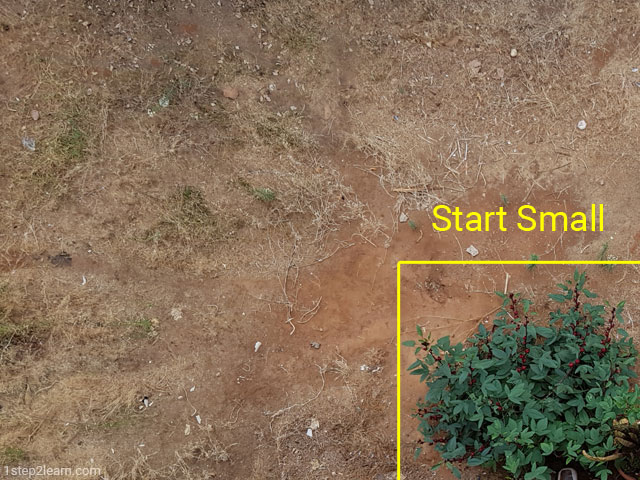 Gardening Start small