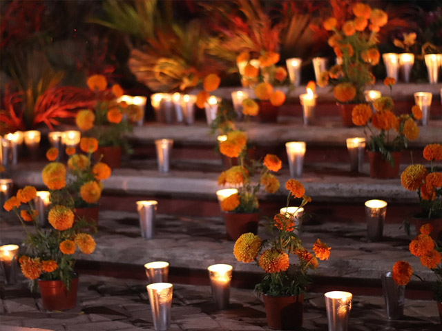 Marigolds - Day of the Dead