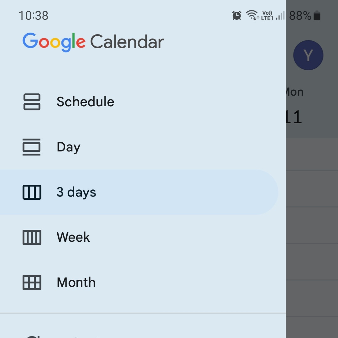Google Calendar view